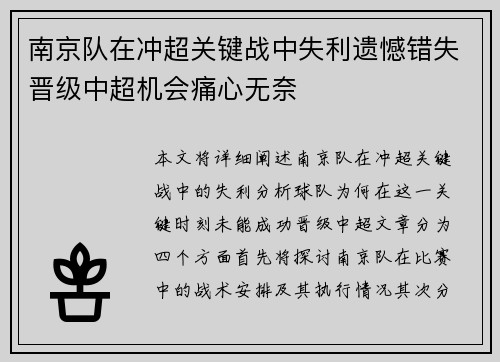 南京队在冲超关键战中失利遗憾错失晋级中超机会痛心无奈
