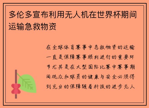 多伦多宣布利用无人机在世界杯期间运输急救物资